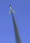 grasshopper